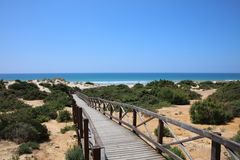 Imagen de alojamiento IBEROSTAR Selection Andalucia Playa