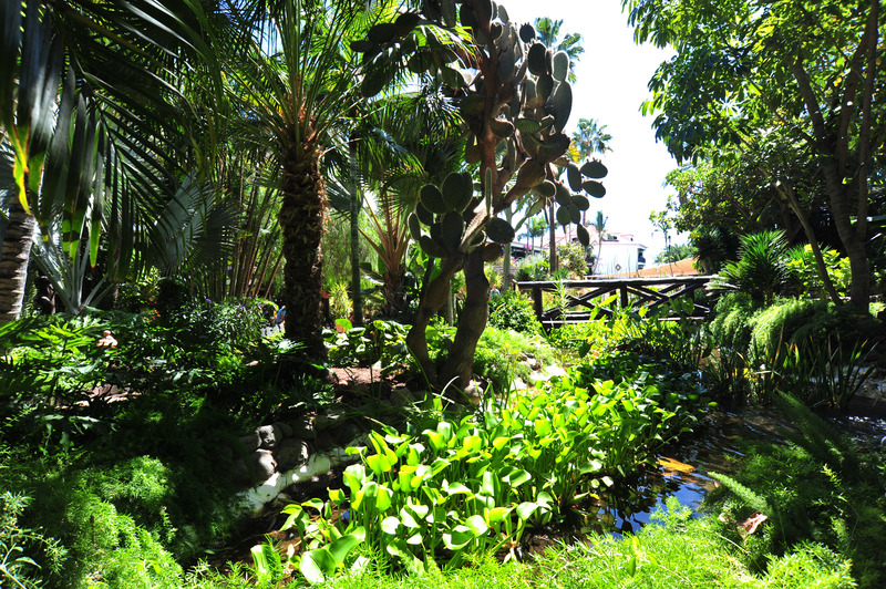 Imagen de alojamiento Parque Tropical