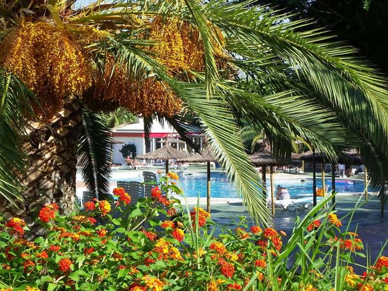Imagen de alojamiento Albir Garden Resort & Aquapark