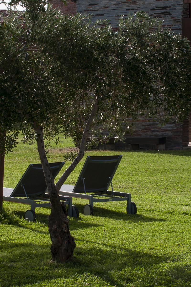 Imagen de alojamiento Hospederia Parque de Monfrague Imagen de alojamiento Hospederia Parque de Monfrague