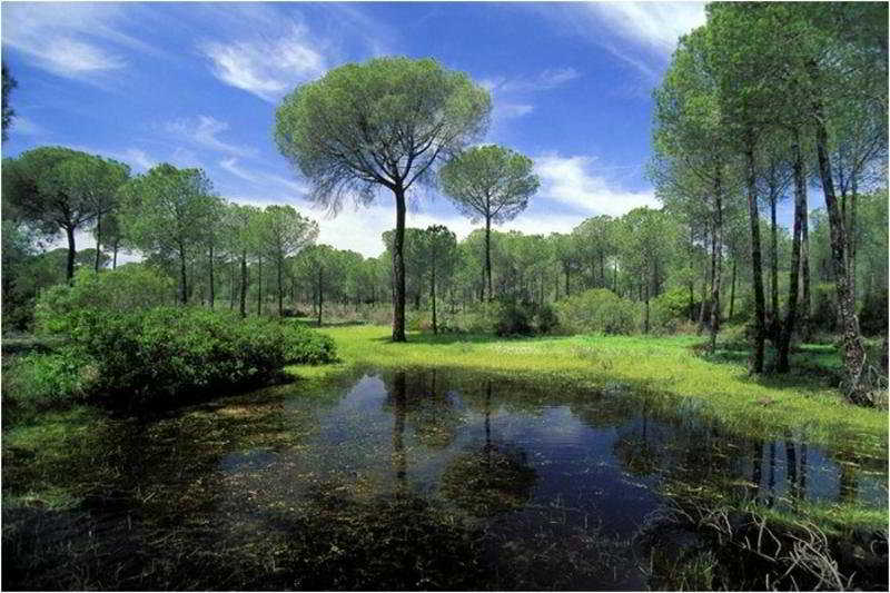 Imagen de alojamiento El Cortijo de los Mimbrales Imagen de alojamiento El Cortijo de los Mimbrales