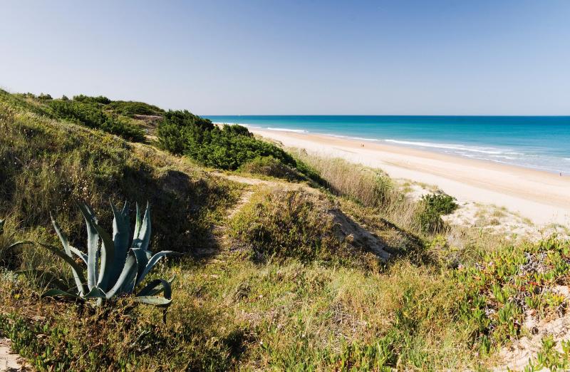 Imagen de alojamiento Hotel Riu Chiclana Imagen de alojamiento Hotel Riu Chiclana
