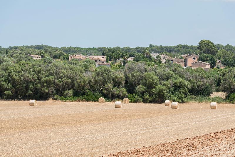 Imagen de alojamiento Rural Son Jorda Imagen de alojamiento Rural Son Jorda