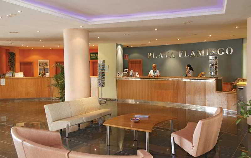 Imagen de alojamiento Flamingo Beach Resort