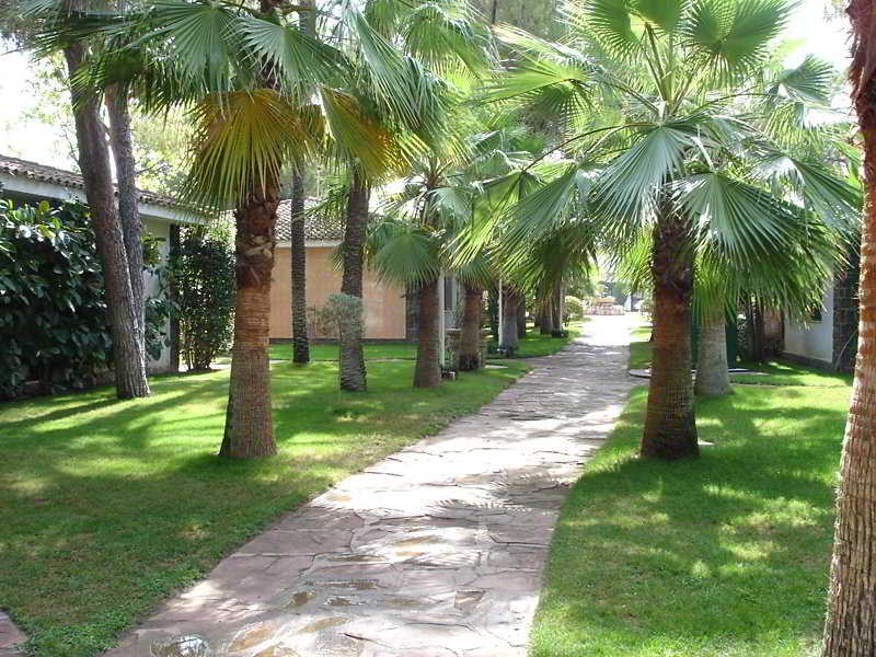 Imagen de alojamiento Resort Oasis