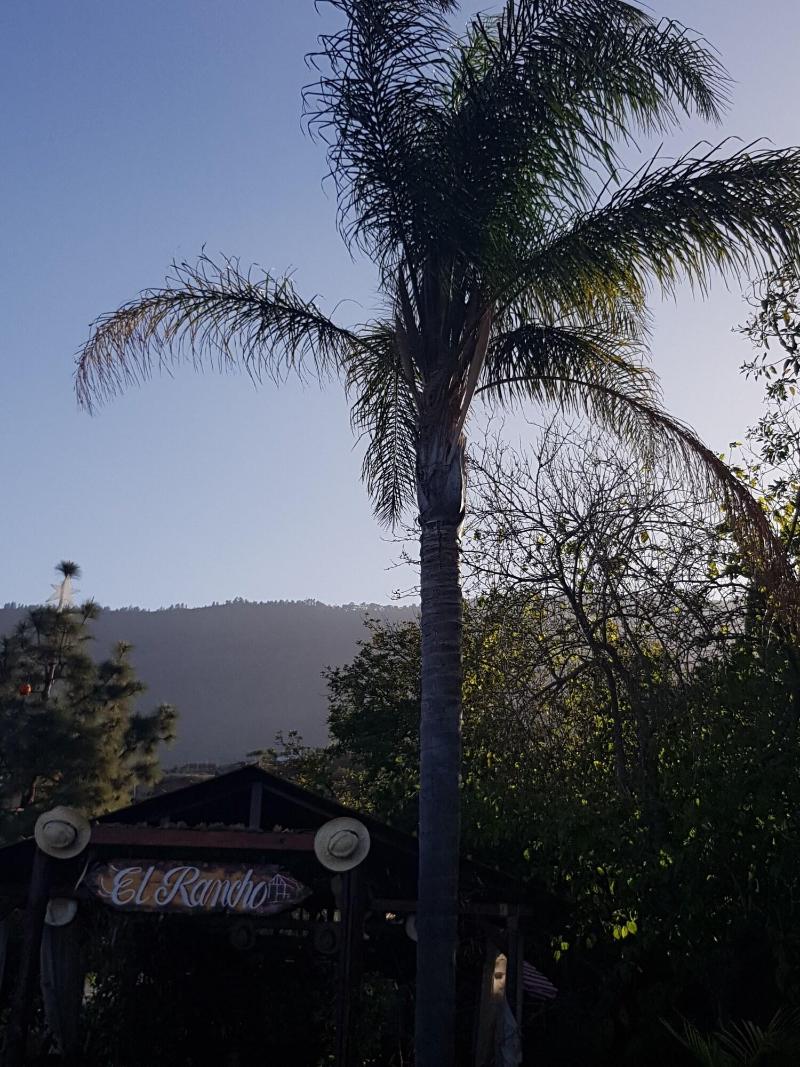 Imagen de alojamiento Finca la Raya Imagen de alojamiento Finca la Raya