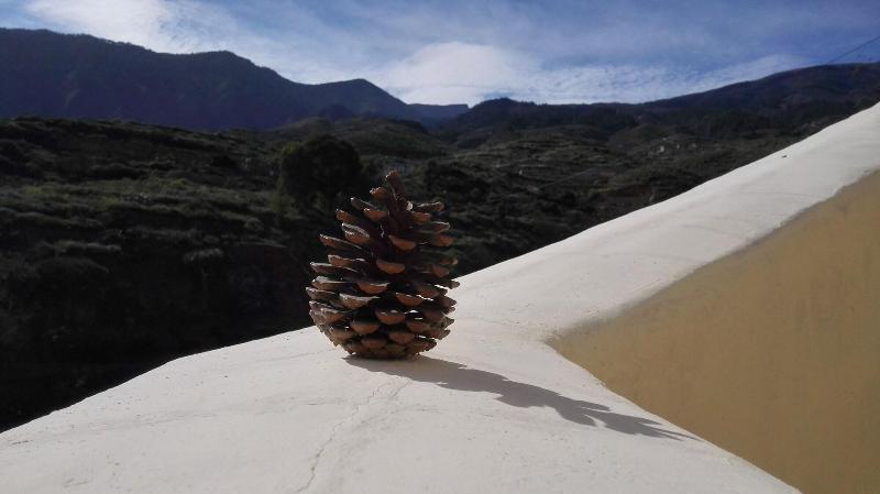 Imagen de alojamiento Finca la Raya Imagen de alojamiento Finca la Raya
