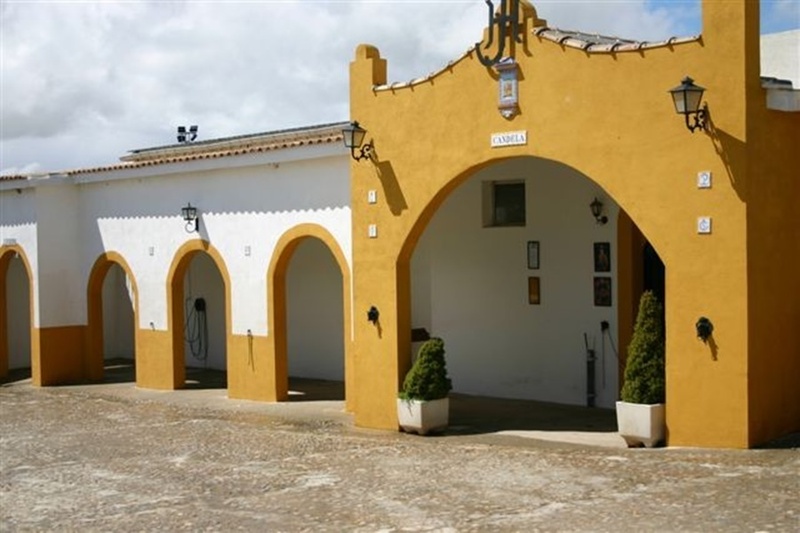 Imagen de alojamiento Villa Nazules Hipica & Spa