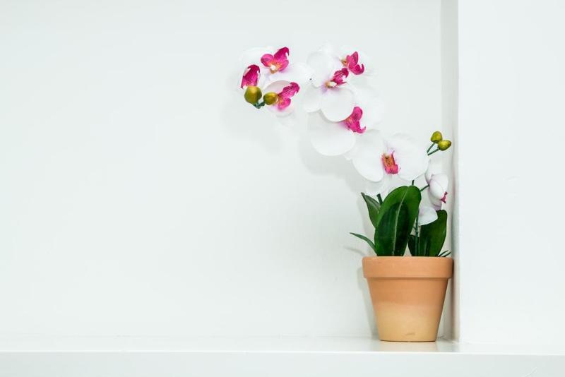 Imagen de alojamiento Cool and Chic Hostel Imagen de alojamiento Cool and Chic Hostel