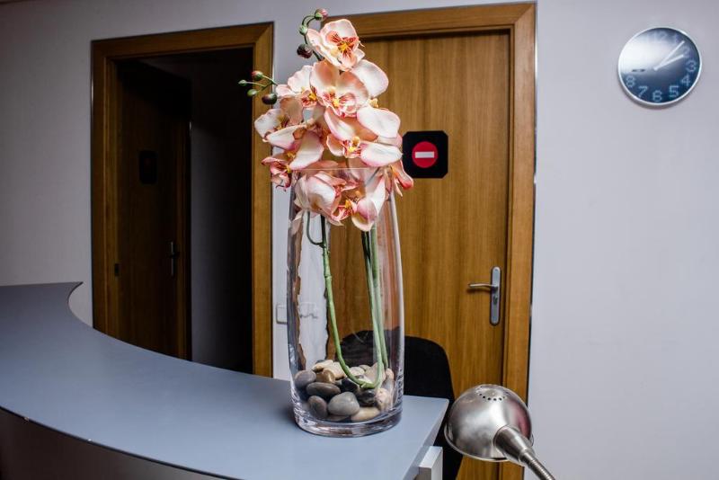 Imagen de alojamiento Cool and Chic Hostel Imagen de alojamiento Cool and Chic Hostel
