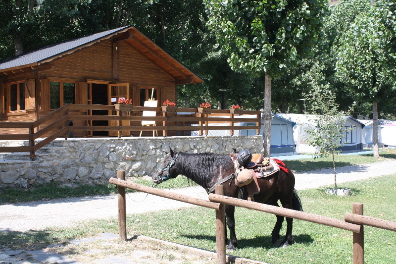 Imagen de alojamiento Bungalows Nou Camping Imagen de alojamiento Bungalows Nou Camping