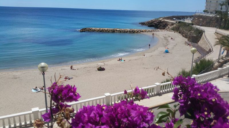 Imagen de alojamiento L'Alguer Hotel Imagen de alojamiento L'Alguer Hotel