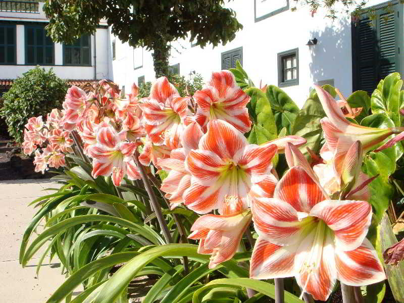 Imagen de alojamiento Hotel Rural El Patio Imagen de alojamiento Hotel Rural El Patio