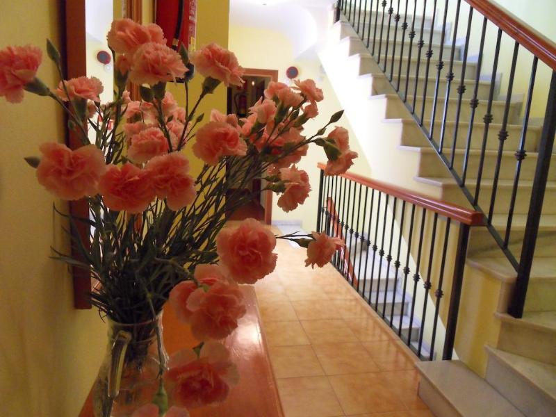 Imagen de alojamiento Hostal Marbella Imagen de alojamiento Hostal Marbella