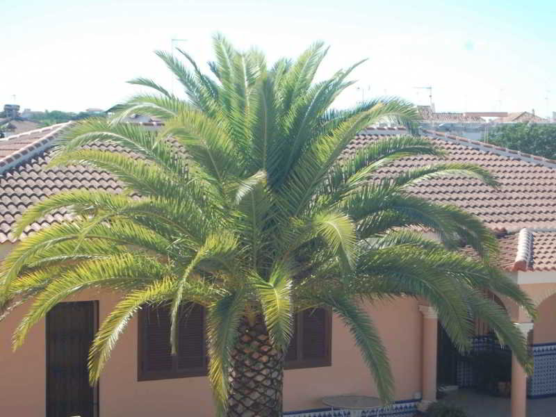 Imagen de alojamiento Hotel Matalascañas Golf Imagen de alojamiento Hotel Matalascañas Golf
