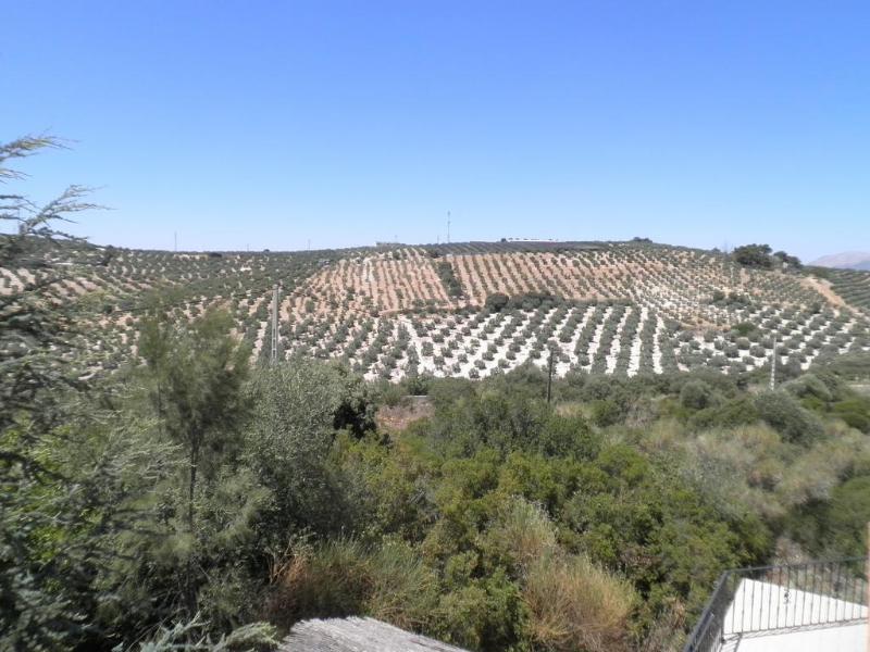 Imagen de alojamiento Sierra De Araceli Imagen de alojamiento Sierra De Araceli