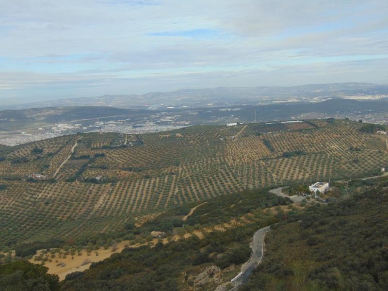 Imagen de alojamiento Sierra De Araceli Imagen de alojamiento Sierra De Araceli
