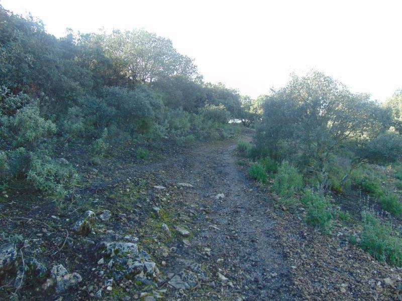 Imagen de alojamiento Sierra De Araceli Imagen de alojamiento Sierra De Araceli