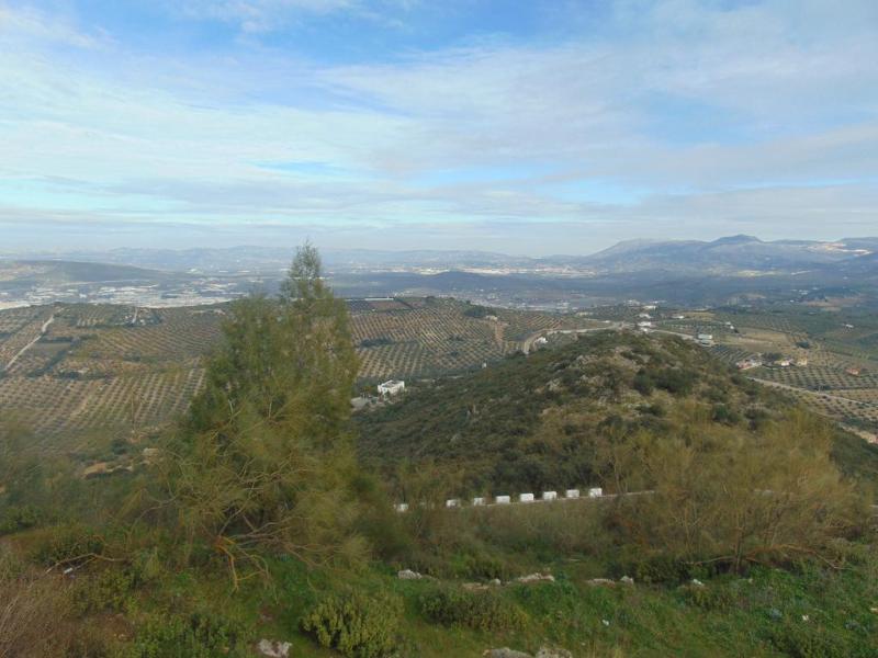 Imagen de alojamiento Sierra De Araceli Imagen de alojamiento Sierra De Araceli