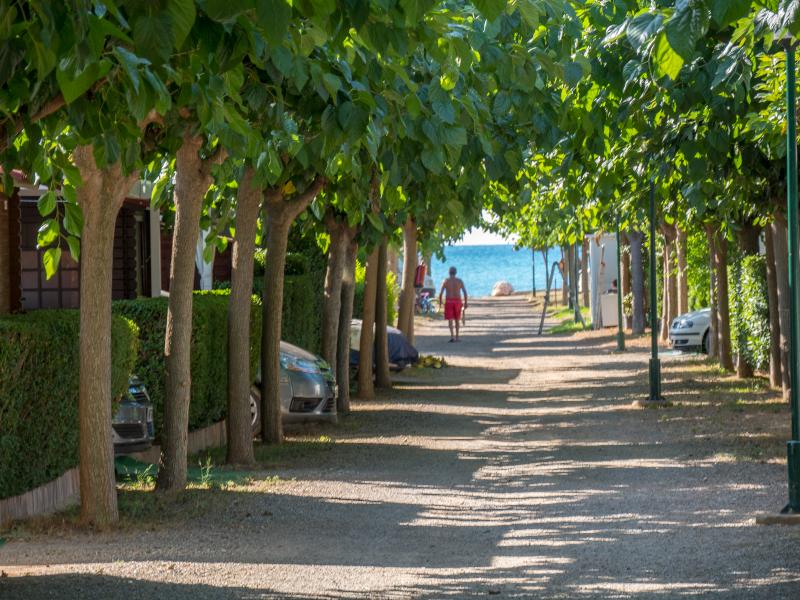 Imagen de alojamiento Camping Playa Y Fiesta Imagen de alojamiento Camping Playa Y Fiesta