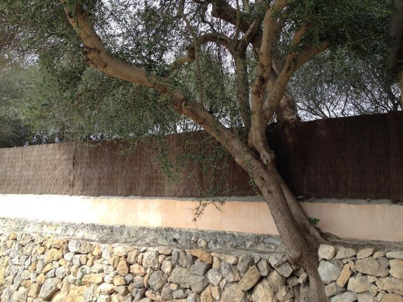 Imagen de alojamiento Finca Agroturismo Dalt Murada Imagen de alojamiento Finca Agroturismo Dalt Murada