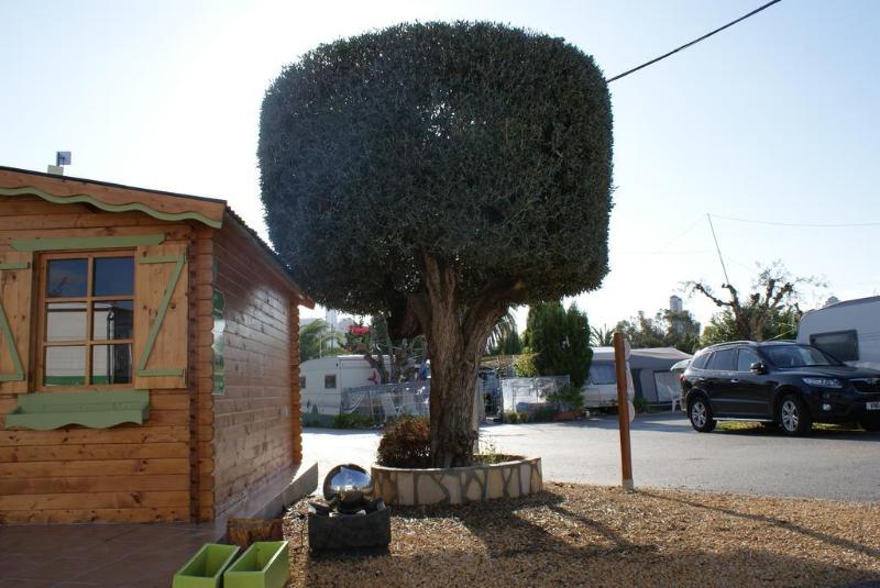 Imagen de alojamiento Camping Armanello Imagen de alojamiento Camping Armanello
