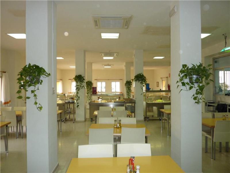 Imagen de alojamiento Marbella Inturjoven Youth Hostel Imagen de alojamiento Marbella Inturjoven Youth Hostel