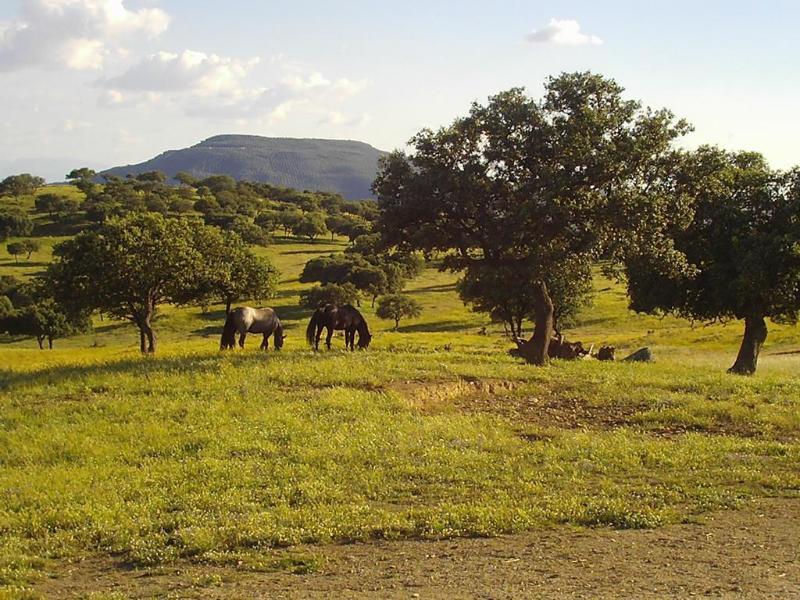 Imagen de alojamiento Rusticae El Anadio Imagen de alojamiento Rusticae El Anadio