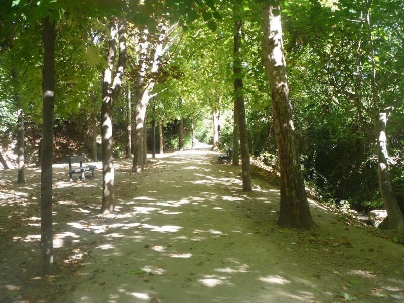 Imagen de alojamiento El Llano Imagen de alojamiento El Llano