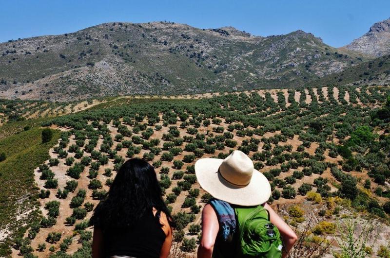 Imagen de alojamiento Cortijo Rural La Presa Imagen de alojamiento Cortijo Rural La Presa