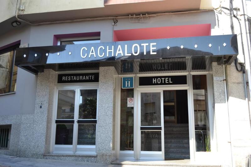 Imagen de alojamiento Nuevo Cachalote Imagen de alojamiento Nuevo Cachalote