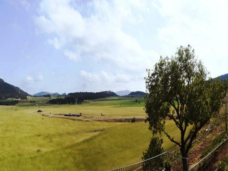 Imagen de alojamiento Masia Mas De Cebrian Imagen de alojamiento Masia Mas De Cebrian