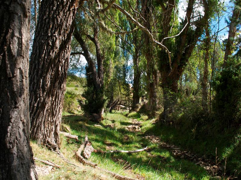 Imagen de alojamiento Apartamentos Rurales Sierra de Gúdar Imagen de alojamiento Apartamentos Rurales Sierra de Gúdar