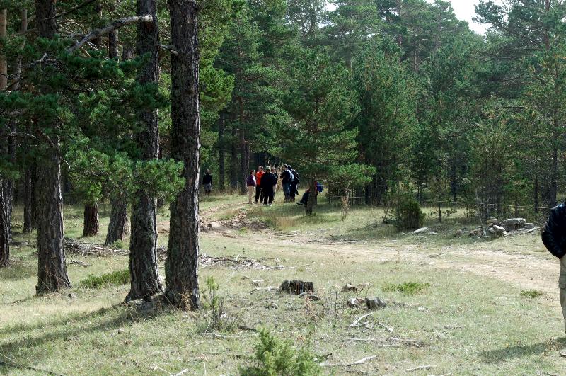Imagen de alojamiento Apartamentos Rurales Sierra de Gúdar Imagen de alojamiento Apartamentos Rurales Sierra de Gúdar