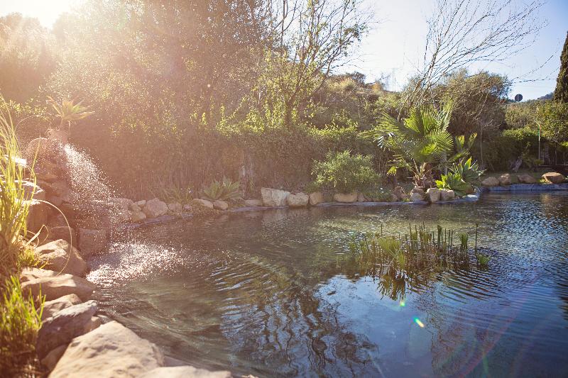 Imagen de alojamiento Hotel Cortijo San Antonio Imagen de alojamiento Hotel Cortijo San Antonio