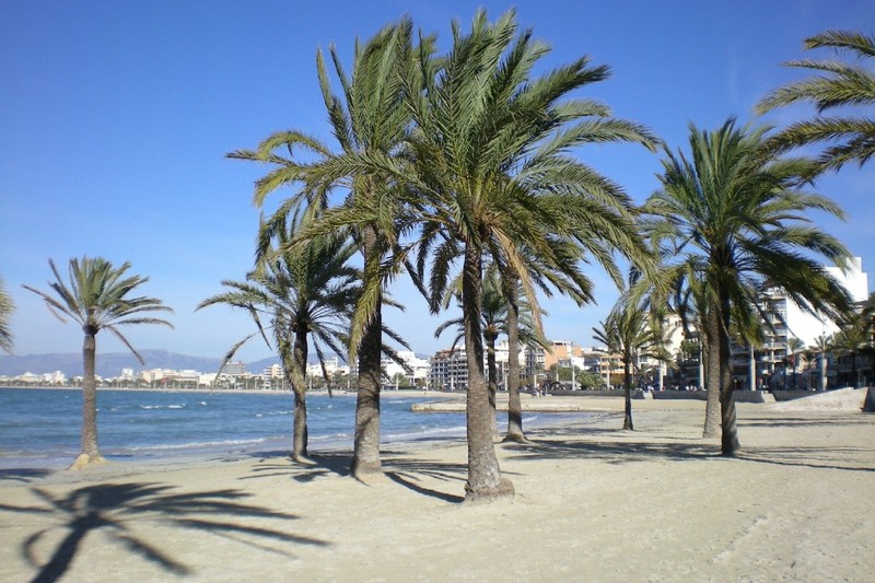 Imagen de alojamiento Apartment in Palma de Mallorca 102361 Imagen de alojamiento Apartment in Palma de Mallorca 102361