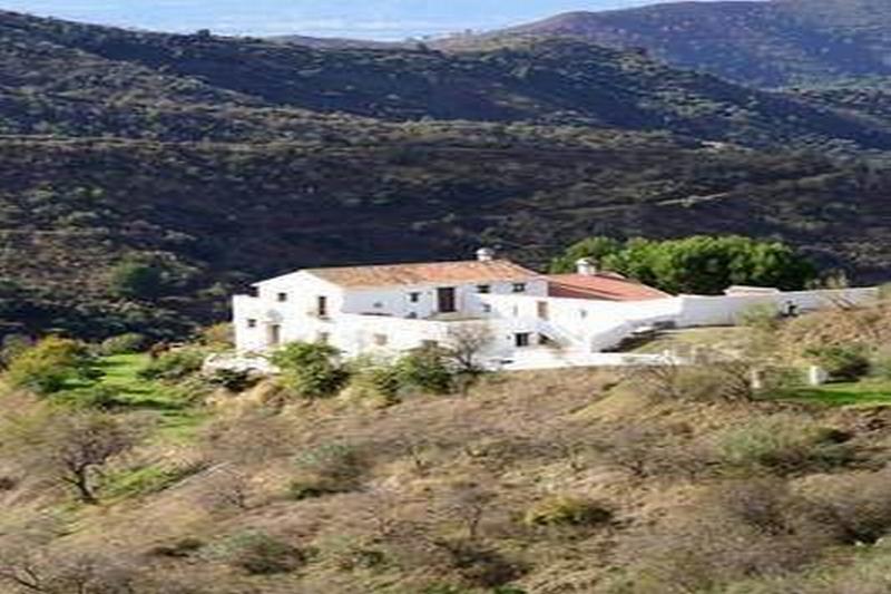 Imagen de alojamiento House in Malaga 101913 Imagen de alojamiento House in Malaga 101913