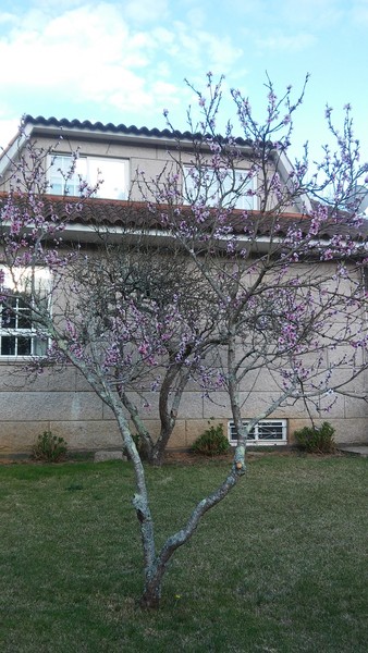 Imagen de alojamiento Villa in Redondela, Pontevedra - 102672 Imagen de alojamiento Villa in Redondela, Pontevedra - 102672