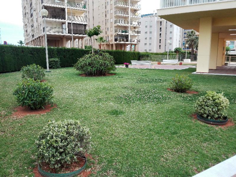 Imagen de alojamiento Apartamentos Benicassim 3000 Imagen de alojamiento Apartamentos Benicassim 3000