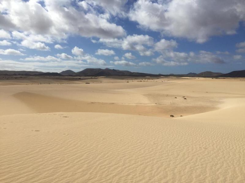 Imagen de alojamiento Bristol Sunset Beach Imagen de alojamiento Bristol Sunset Beach