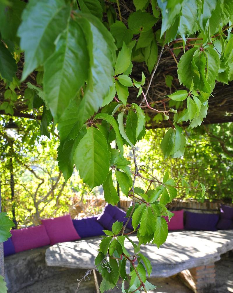 Imagen de alojamiento Hotel Rural Villa Ignacia Imagen de alojamiento Hotel Rural Villa Ignacia
