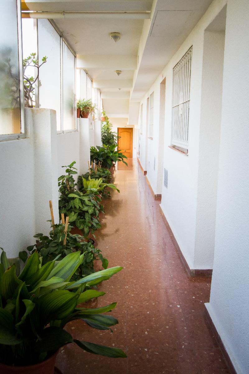 Imagen de alojamiento Holidays2Torremolinos Roquedal Imagen de alojamiento Holidays2Torremolinos Roquedal