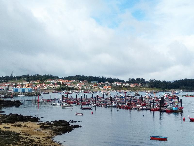 Imagen de alojamiento Apartamentos Illa de Arousa 3000 Imagen de alojamiento Apartamentos Illa de Arousa 3000