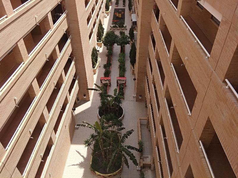 Imagen de alojamiento ACV-COSTA AZAHAR II-2ª LINEA PLANTA 6 SUR-2 Imagen de alojamiento ACV-COSTA AZAHAR II-2ª LINEA PLANTA 6 SUR-2