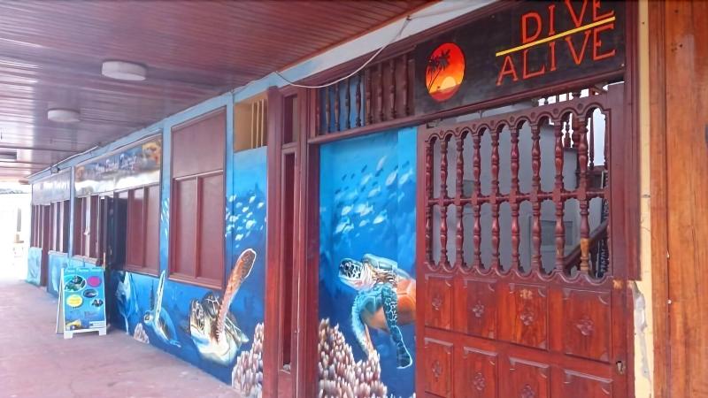 Imagen de alojamiento SEA HOSTEL DIVE ALIVE Imagen de alojamiento SEA HOSTEL DIVE ALIVE