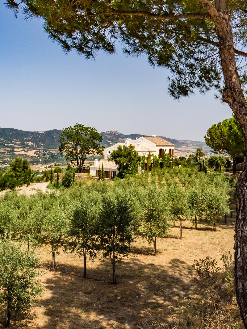 Imagen de alojamiento CORTIJO LA ORGANIC Imagen de alojamiento CORTIJO LA ORGANIC