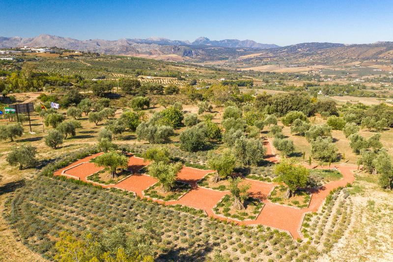 Imagen de alojamiento CORTIJO LA ORGANIC Imagen de alojamiento CORTIJO LA ORGANIC