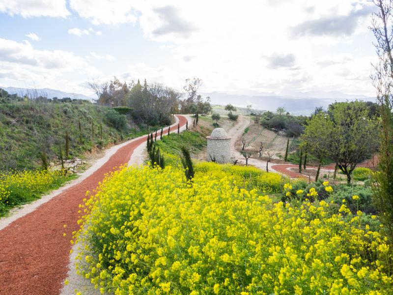 Imagen de alojamiento CORTIJO LA ORGANIC Imagen de alojamiento CORTIJO LA ORGANIC