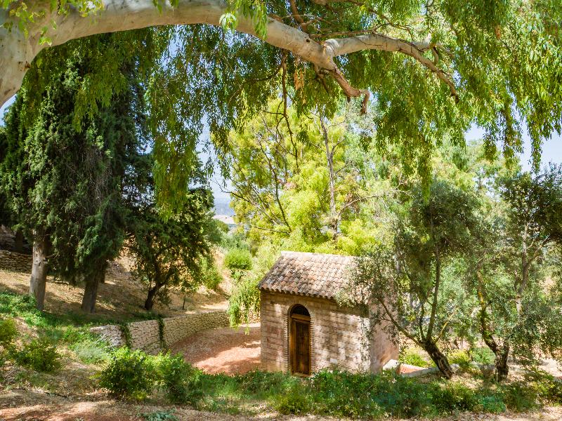 Imagen de alojamiento CORTIJO LA ORGANIC Imagen de alojamiento CORTIJO LA ORGANIC