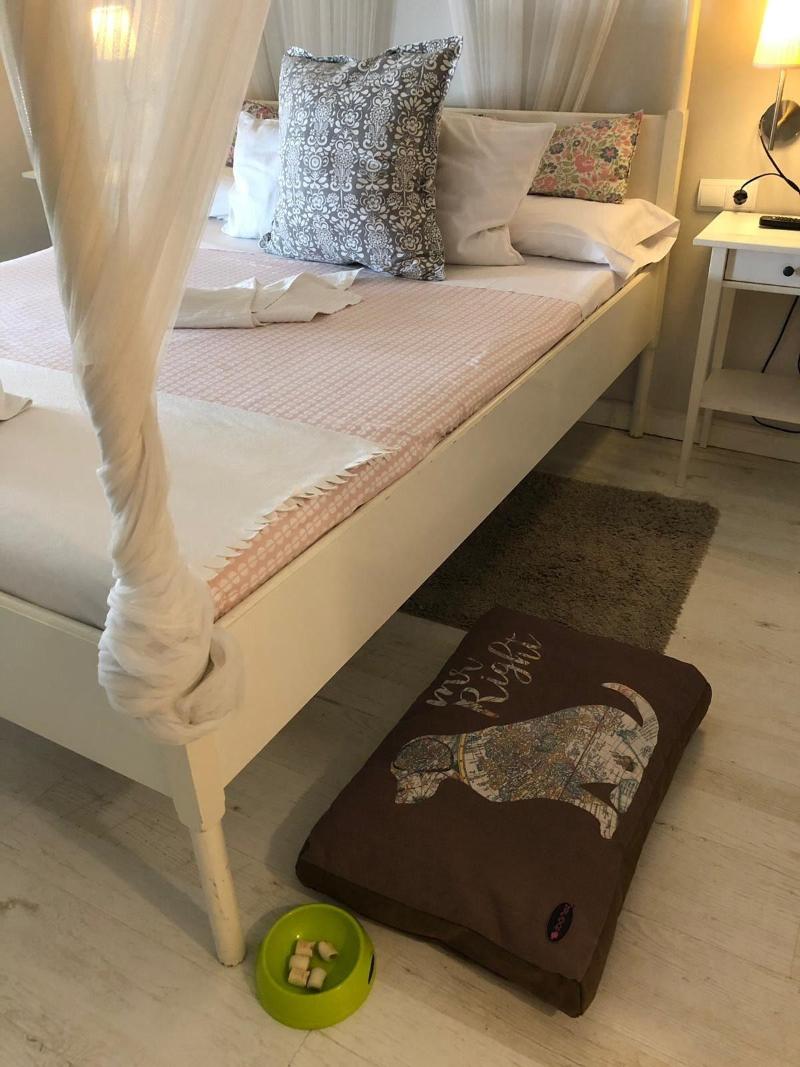 Imagen de alojamiento HOSTAL VIDAMIA Imagen de alojamiento HOSTAL VIDAMIA